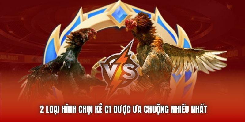 2 loại hình chọi kê C1 được ưa chuộng nhiều nhất