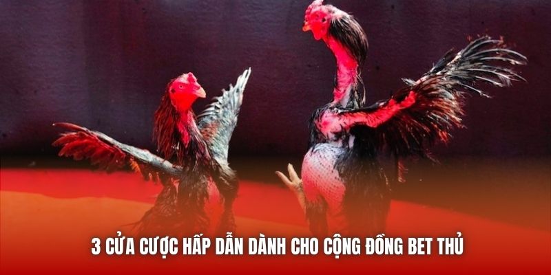 3 cửa cược hấp dẫn dành cho cộng đồng bet thủ