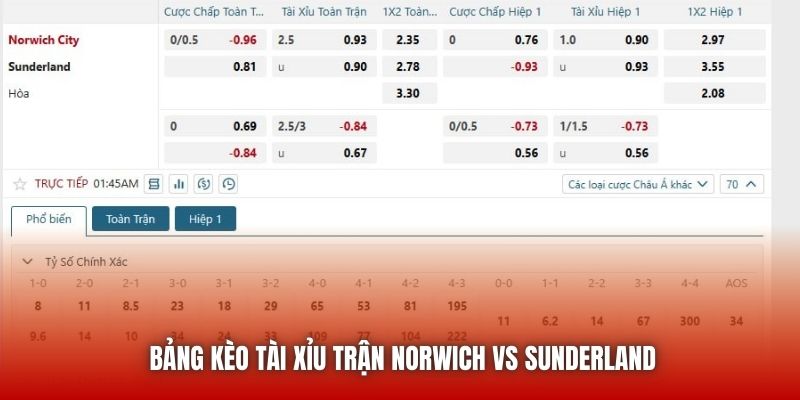 Bảng kèo tài xỉu trận Norwich vs Sunderland