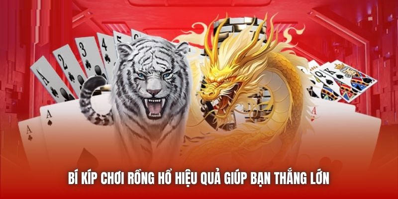 Bí kíp chơi Rồng Hổ hiệu quả giúp bạn thắng lớn