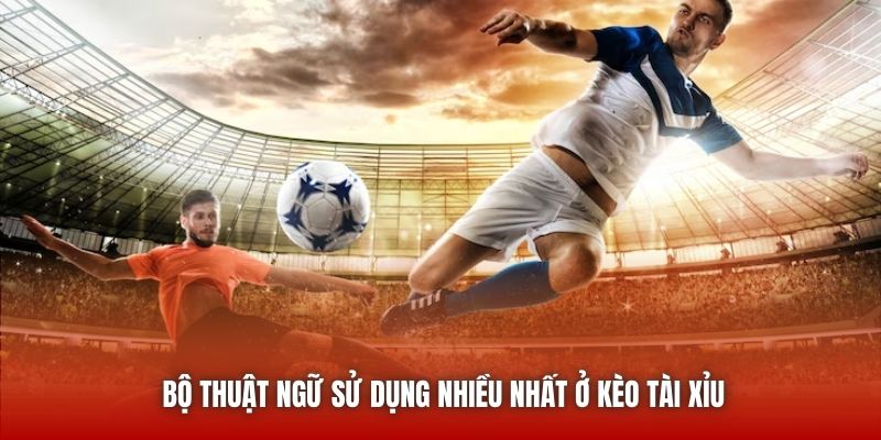 Bộ thuật ngữ sử dụng nhiều nhất ở kèo Tài Xỉu