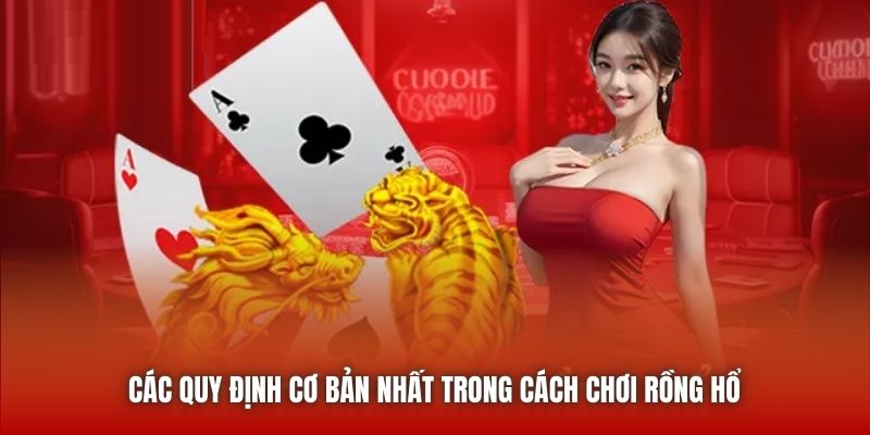 Các quy định cơ bản nhất trong cách chơi Rồng Hổ
