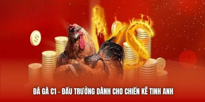 Đá gà C1 - Đấu trường dành cho chiến kê tinh anh