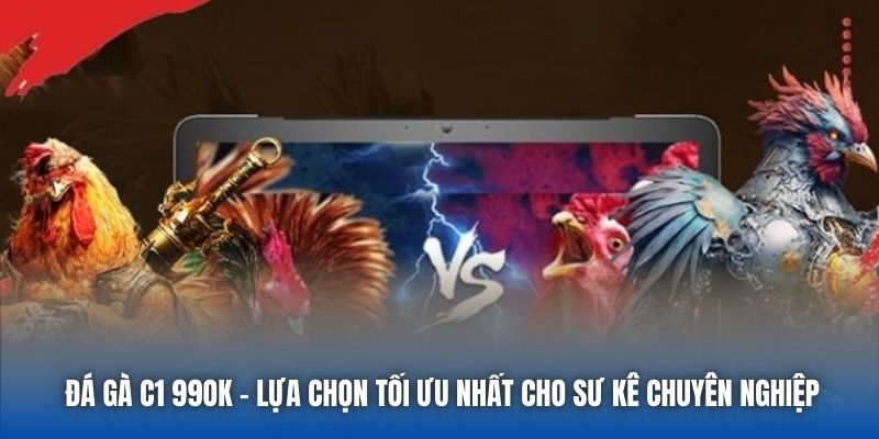 Đá Gà C1 99OK - Lựa Chọn Tối Ưu Nhất Cho Sư Kê Chuyên Nghiệp