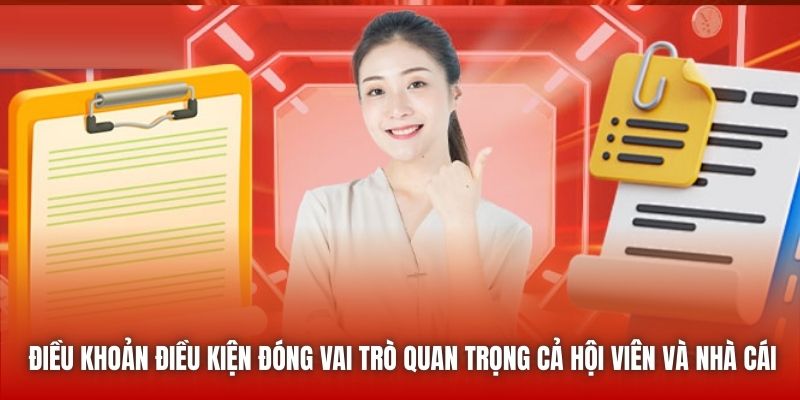 Điều khoản điều kiện đóng vai trò quan trọng cả hội viên và nhà cái