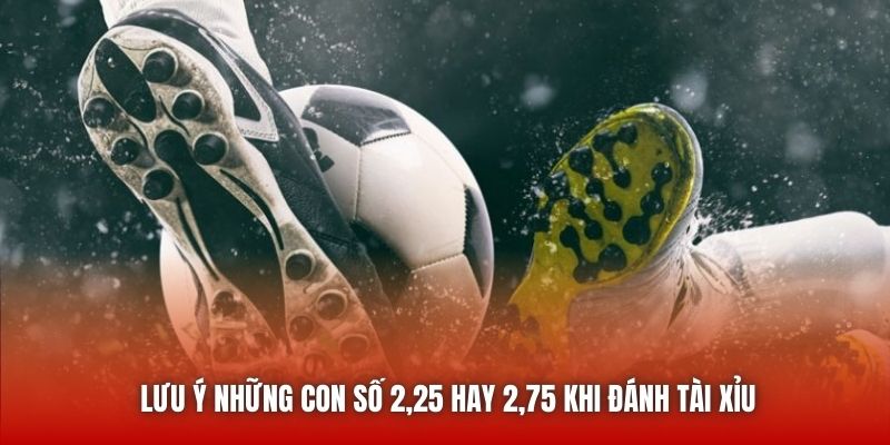 Lưu ý những con số 2,25 hay 2,75 khi đánh Tài Xỉu