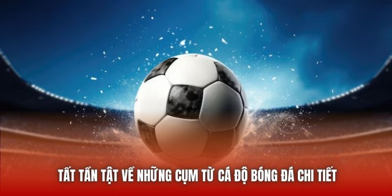 Tất tần tật về những cụm từ cá độ bóng đá chi tiết