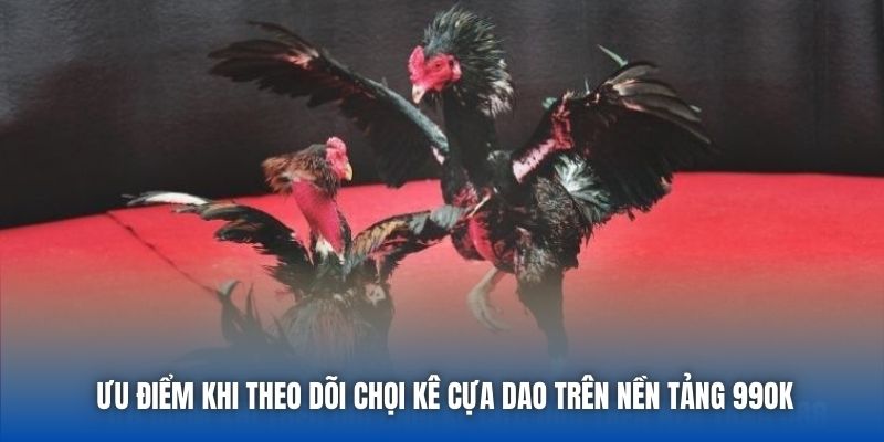 Ưu điểm khi theo dõi chọi kê cựa dao trên nền tảng 99OK