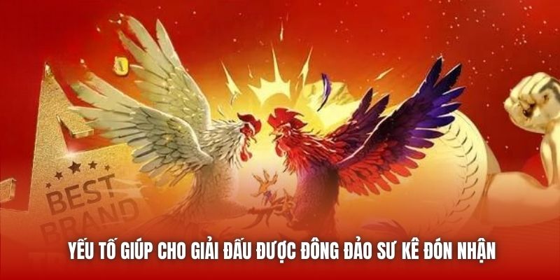 Yếu tố giúp cho giải đấu được đông đảo sư kê đón nhận